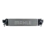 Interkuler MAHLE CI 617 000P IC-G0TOPN