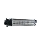 Interkuler MAHLE CI 617 000P IC-G0TOPN