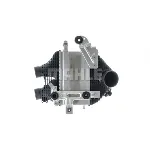 Interkuler MAHLE CI 618 000P IC-G0TOPO