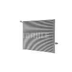 Interkuler MAHLE CIR 25 000P IC-G08FFZ