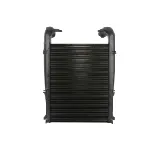 Interkuler NRF NRF 30217 IC-C3FE5C