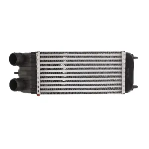 Interkuler THERMOTEC DAC003TT IC-E295BA