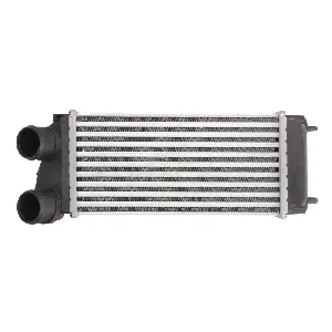 Interkuler THERMOTEC DAC004TT IC-E295BB