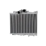 Interkuler THERMOTEC DAME006TT IC-D71559