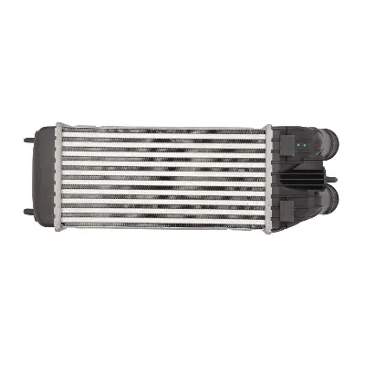 Interkuler THERMOTEC DAP003TT IC-E2AE49