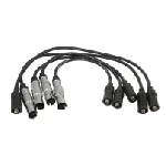 Komplet kablova za paljenje NGK RC-VW230 0961 IC-AF6C81