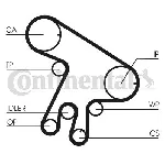 Komplet zupčastog kaiša CONTI CT 1043 K1 IC-A8CE1F Komplet zupčastog kaiša CONTI CT 1043 K1 IC-A8CE1F