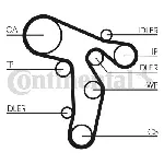 Komplet zupčastog kaiša CONTI CT 1134 K1 IC-B42F31 Komplet zupčastog kaiša CONTI CT 1134 K1 IC-B42F31