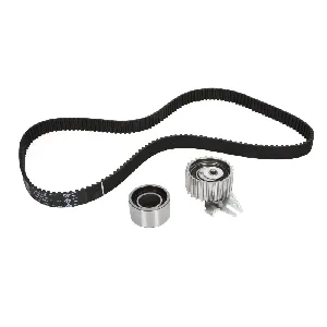 Komplet zupčastog kaiša INA 530 0229 10 IC-B2E178