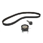 Komplet zupčastog kaiša INA 530 0605 10 IC-D64313