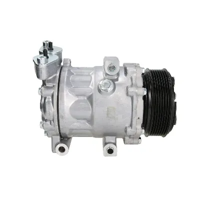 Kompresor, klima-uređaj DELPHI CS20351 IC-E623F1