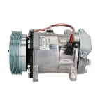 Kompresor, klima-uređaj DELPHI CS20491 IC-E623FD