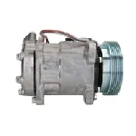 Kompresor, klima-uređaj DELPHI CS20491 IC-E623FD