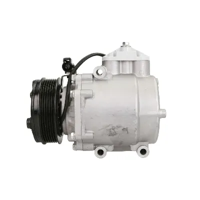 Kompresor, klima-uređaj DELPHI TSP0159373 IC-D1A307