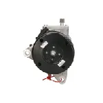 Kompresor, klima-uređaj DENSO DCP06006 IC-B2A799