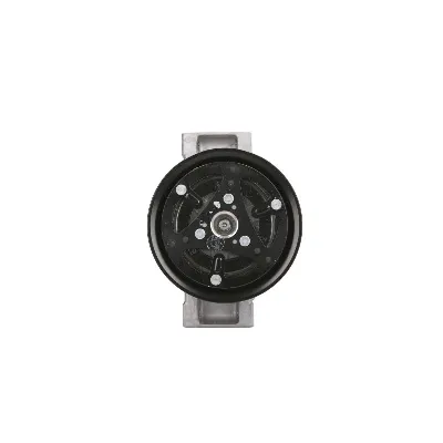 Kompresor, klima-uređaj DENSO DCP13010 IC-C65F0E