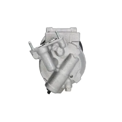 Kompresor, klima-uređaj DENSO DCP21021 IC-F825B9