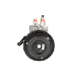 Kompresor, klima-uređaj DENSO DCP99513 IC-B2A810