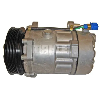 Kompresor, klima-uređaj MAHLE ACP 1017 000S IC-G0LMON