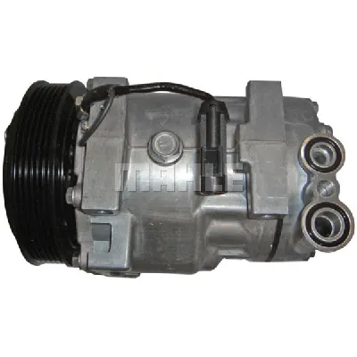 Kompresor, klima-uređaj MAHLE ACP 1019 000S IC-G0LMOO