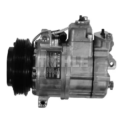 Kompresor, klima-uređaj MAHLE ACP 1040 000S IC-G0LMP1