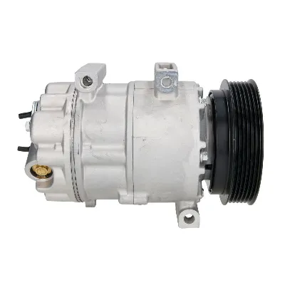 Kompresor, klima-uređaj MAHLE ACP 1343 000S IC-G0KCZ2