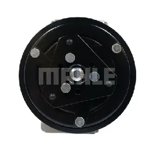 Kompresor, klima-uređaj MAHLE ACP 169 000S IC-G0LMAO
