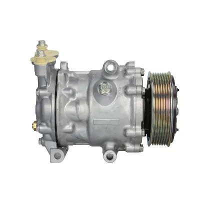 Kompresor, klima-uređaj SANDEN SD7V16-1834 IC-F7B869