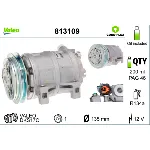 Kompresor, klima-uređaj VALEO VAL813109 IC-BAD264