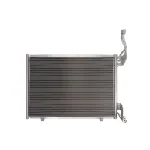 Kondenzator, klima-uređaj DELPHI CF20495 IC-G0S7UM