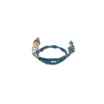 Lambda-sonda BOSCH 0 258 005 283 IC-A68E87