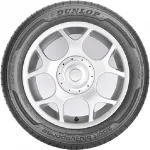 Letnja Guma Dunlop 195/65 R15 91H SPT BLURESPONSE B-00528520 Letnja Guma Dunlop 195/65 R15 91H SPT BLURESPONSE B-00528520