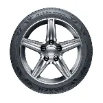 Letnja Guma Nexen 225/55 ZR17 101W XLN FERA Primus B-78016628 Letnja Guma Nexen 225/55 ZR17 101W XLN FERA Primus B-78016628