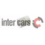 Ležaj kliznog prstena, alternator BOSCH 1 120 591 075 IC-A3E502