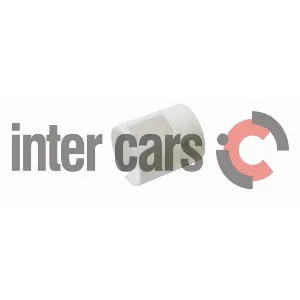 Ležaj kliznog prstena, alternator BOSCH 1 120 591 075 IC-A3E502