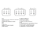 Modul paljenja DZE DZE10217 IC-G0VFI9