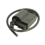 Modul paljenja INPARTS IP000418 IC-D9E5D9