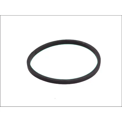 O-prsten LEMA LE26275.00 IC-B4780A