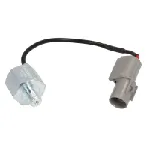 Oktanski senzor DELPHI AS10252 IC-F7AFE8