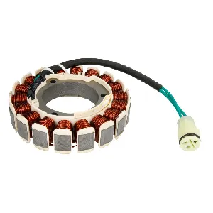 Pobudni namotaj, alternator PARSUN F40-05000600EI IC-G051Y4