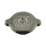 Poklopac sa zatvaračem, hladnjak FEBI FE04520 IC-253539