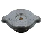 Poklopac sa zatvaračem, hladnjak FEBI FE05420 IC-267542