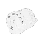 Prekidac, glavno svjetlo CHRYSLER 56046258AD IC-G0SRKR