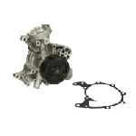 Pumpa vode DOLZ DOLZ R621 IC-G0VZPN Pumpa vode DOLZ DOLZ R621 IC-G0VZPN