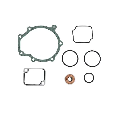 Pumpa vode DT KLIMA 4.90925 IC-DF1A32