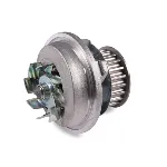 Pumpa vode HEPU P398 IC-275820