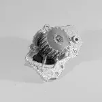 Pumpa vode HEPU P815 IC-341980