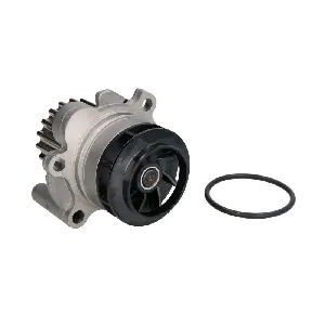 Pumpa vode INA 538 0089 10 IC-E0FF2C