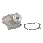 Pumpa vode INA 538 0096 10 IC-E0FF30