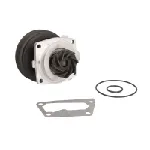 Pumpa vode SKF VKPC 82441 IC-9BDCA3